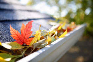 Roof & Gutter Cleaning